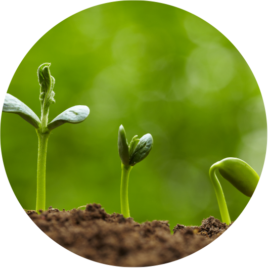 Improving Services